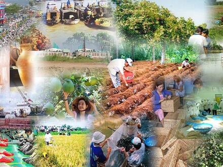 Chính sách mới có hiệu lực