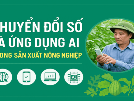 Đồng hành cùng Doanh nghiệp