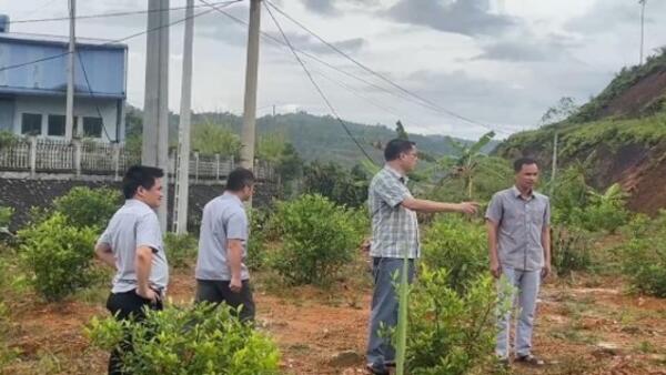 CHUYỂN ĐỔI CÂY TRỒNG ĐỂ NÂNG CAO HIỆU QUẢ KINH TẾ